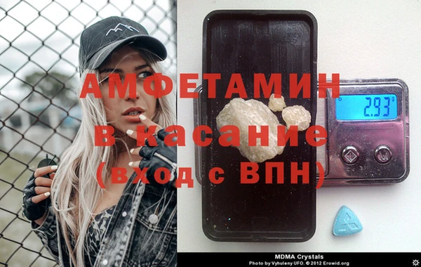 сатива Арсеньев