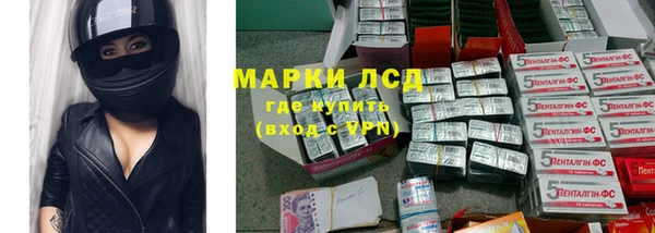 сатива Арсеньев